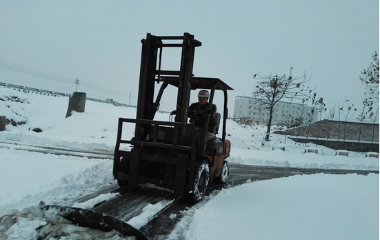 雪地中的“爱”