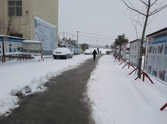 雪地中的“爱”