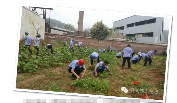 员工冒雨参加义务劳动！感动———伟志钢模板厂家